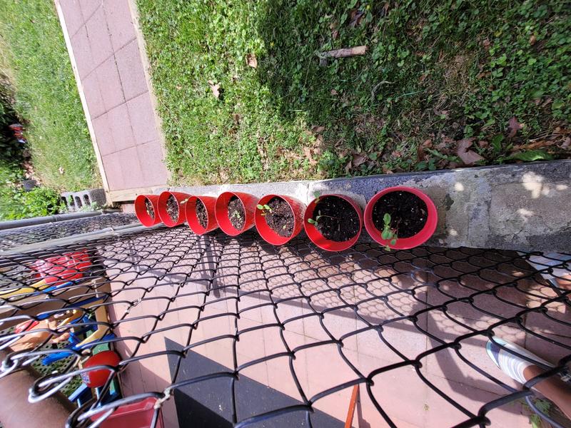 Photo of Mihret Negede (Mimi) Daycare - Rockville, MD