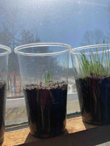 Photo of Liz’s Daycare - Horseheads, NY