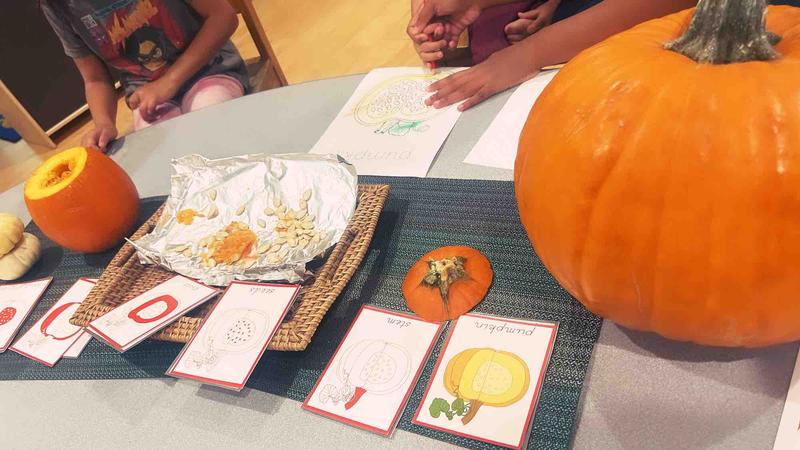 Photo of Moonstone Montessori Daycare - Diamondbar, CA