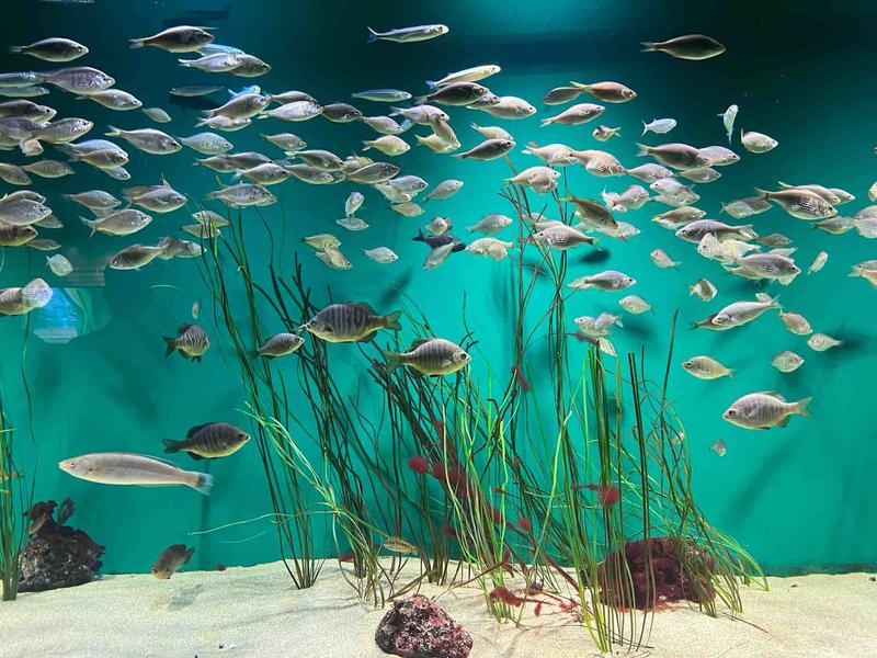 Photo of Lamb Family Child Care - Los Angeles, CA