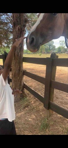 Photo of Kendra P. - Greenville, SC