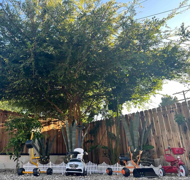 Photo of Little Paradise - Sunland, CA