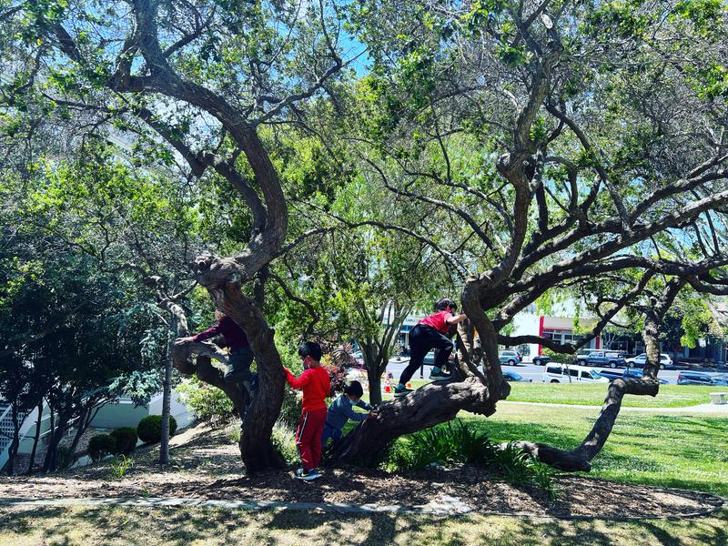 Photo of Da Hao Preschool Daycare - South San Francisco, CA