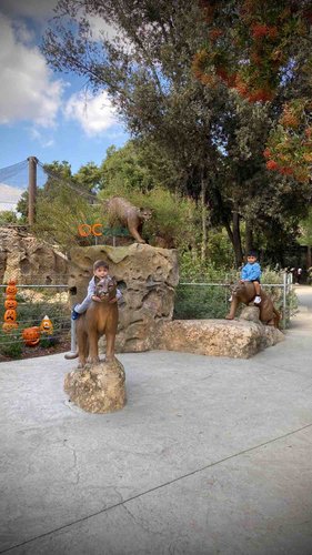 Photo of Sandyland Kids Daycare - Corona, CA