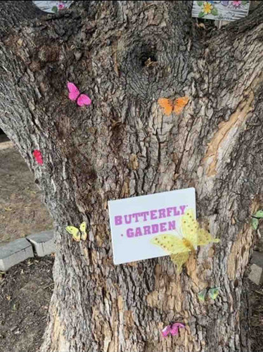 Photo of Pleasant Place Daycare - Arlington, TX