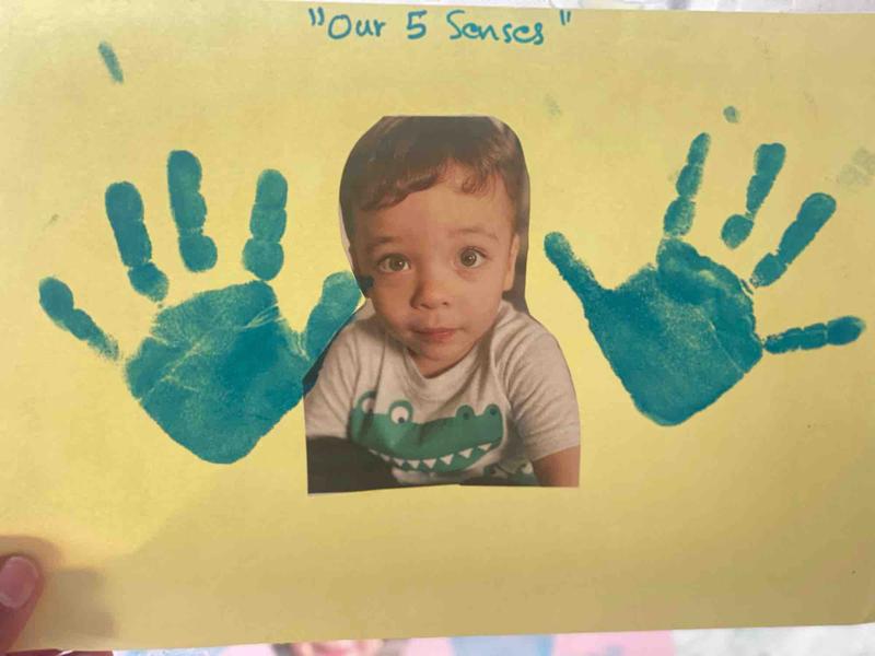 Photo of Tree House Child Care Daycare - Glendale, CA