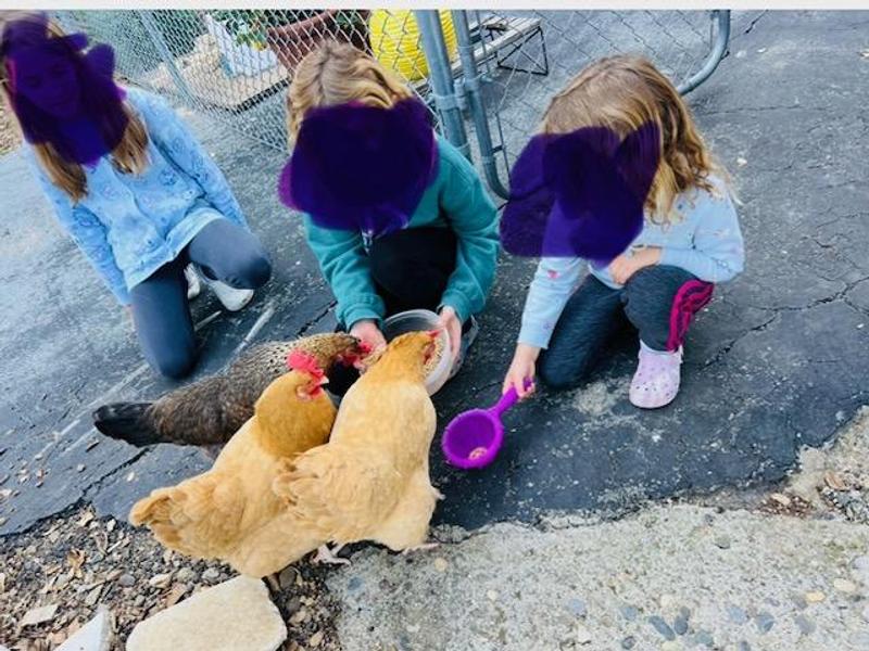 Photo of Los Gatitos Daycare - Los Gatos, CA