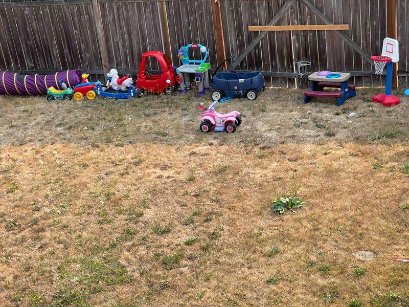 Photo of Sunrise Family Childcare Daycare - Auburn, WA