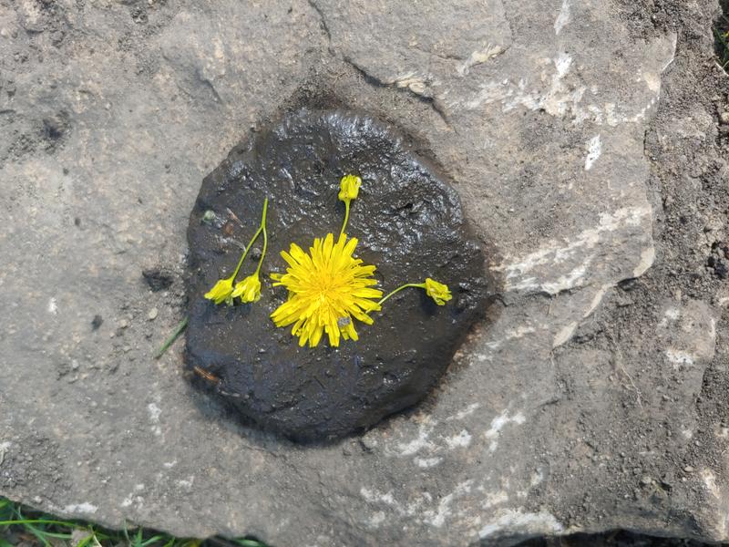 Photo of Wald Sprouts Daycare - Bloomington, MN