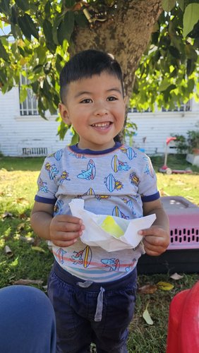 Photo of Wonder World Preschool And Daycare - Los Angeles, CA