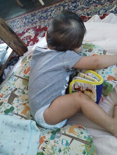 Photo of God's Little Angel's - Sacramento, CA