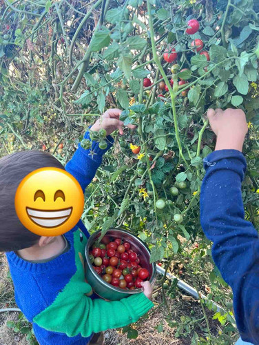 Photo of Little Rainbow Child Care - Redwood City, CA