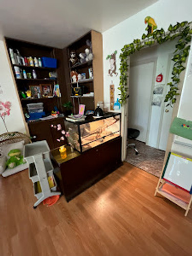 Photo of Magic Forest Childcare - San Jose, CA