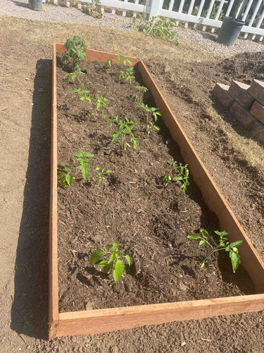 Photo of Martinez Family Daycare - Riverside, CA