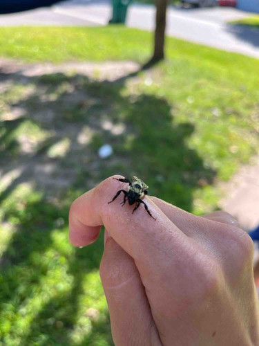 Photo of Wald Sprouts Daycare - Bloomington, MN