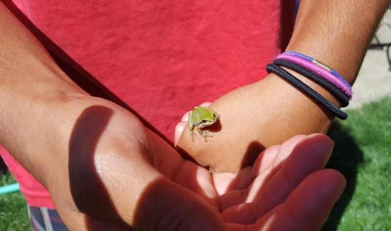 Photo of Tiny Humans Playcare - Portland, OR
