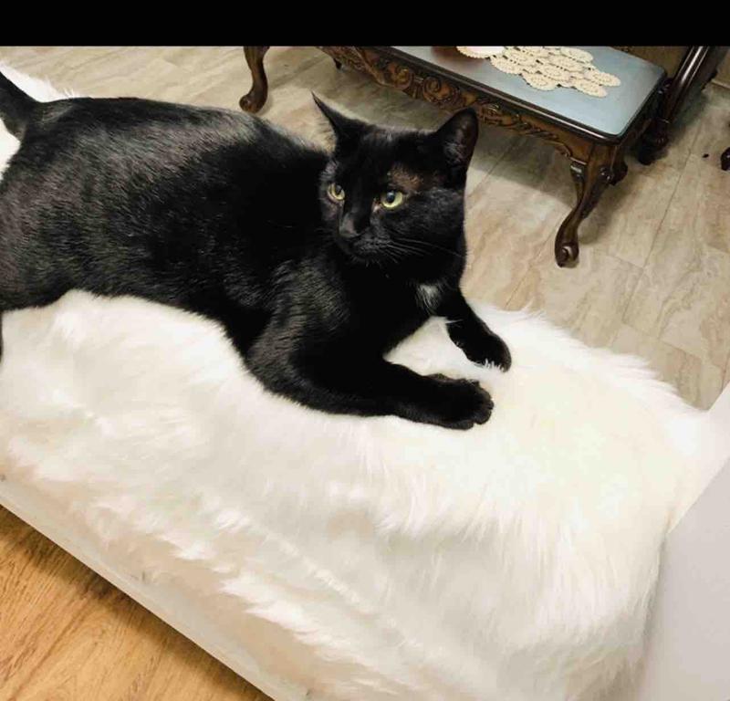 Photo of Maria P. - Pen, FL