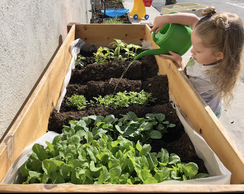 Photo of Little Elms Daycare - Escondido, CA