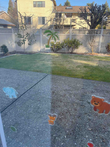 Photo of Zara Cares LLC - Covington, WA