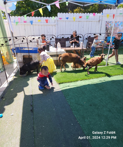 Photo of Melkonyan Family Child Care Daycare - Winnetka, CA
