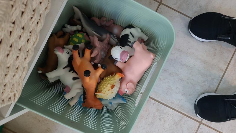 Photo of Diana Cervantes Family Childcare Daycare - San Diego, CA