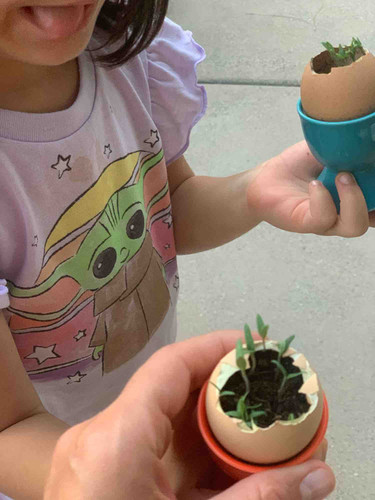 Photo of Happy Orchard Daycare - Irvine, CA