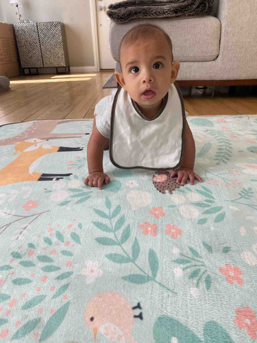 Photo of Tree House Child Care Daycare - Glendale, CA