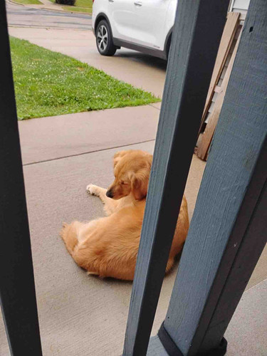 Photo of My Little Eden Biligual Daycare - Stoughton, WI