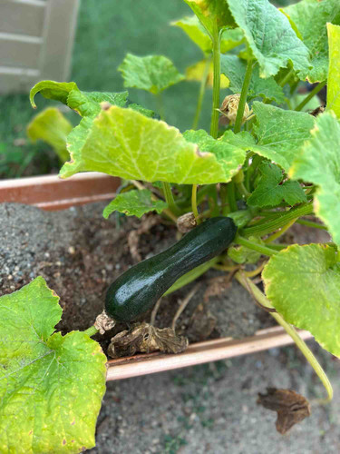 Photo of Once Upon A Time Daycare - Burien, WA