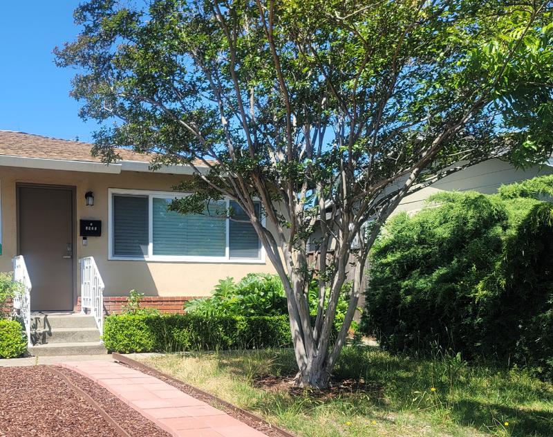 Photo of Lovely Kiddie Care Daycare - San Jose, CA