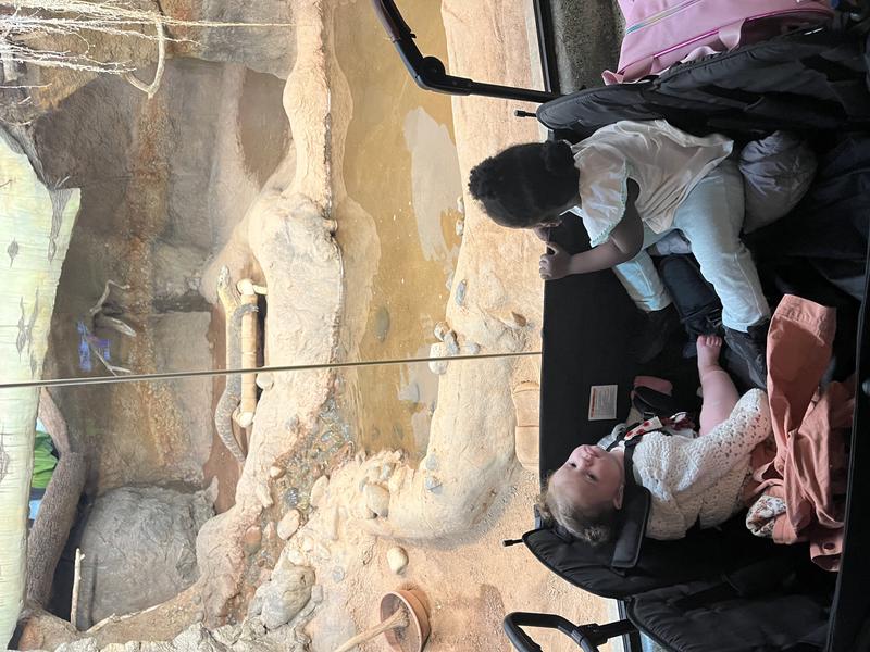 Photo of Glowing Stars Daycare - Buffalo, NY