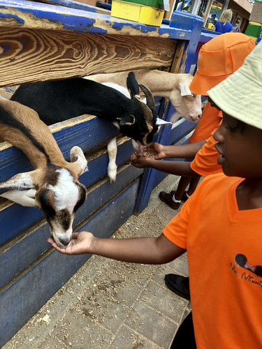 Photo of Ms Minnie's Clubhouse Daycare - Baldwin, NY