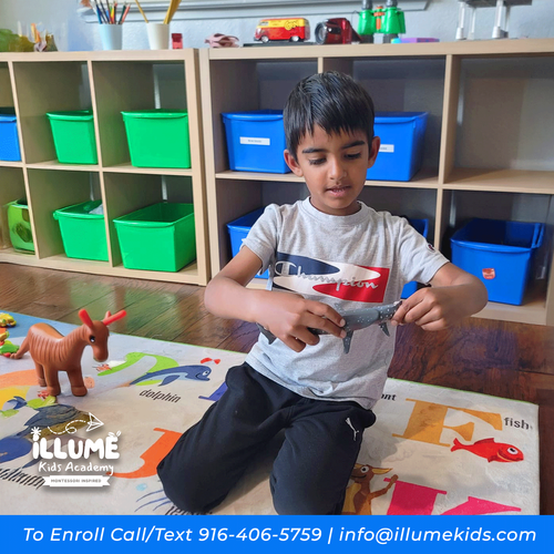 Photo of Illume Kids Academy - Sacramento, CA
