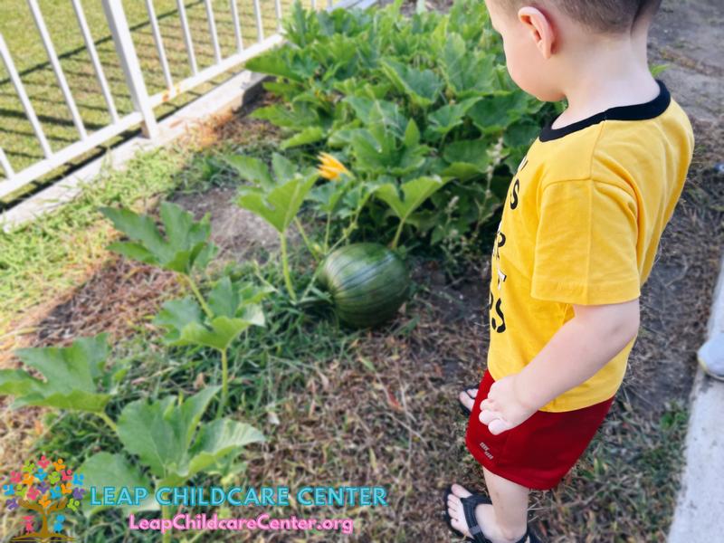 Photo of Leap Childcare Center - Bakersfield, CA