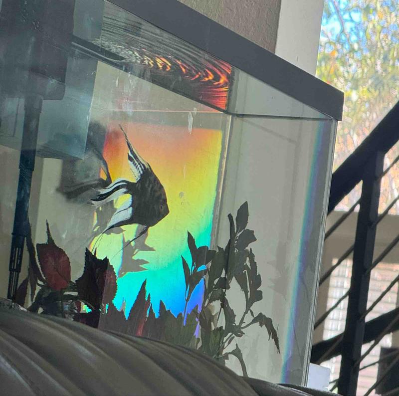 Photo of Joy Of Learning Montessori Preschool - San Diego, CA