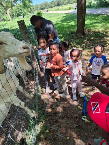 Photo of Blessed Hands Changing Lives Daycare - Queens, NY