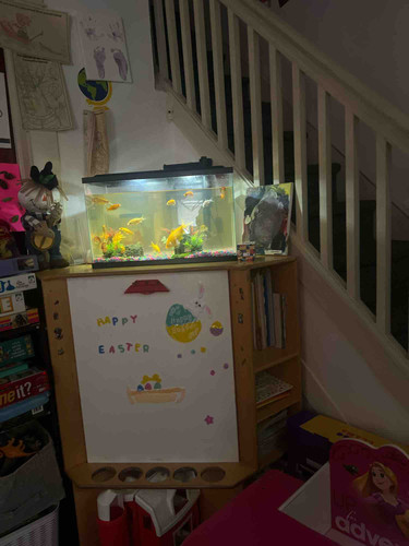 Photo of Konani Childcare - Lancaster, PA