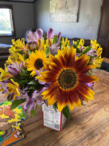 Photo of Growing Wild Daycare - Tenstrike, MN