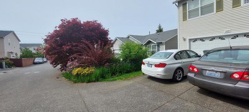 Photo of Al Nasar Home Daycare - Auburn, WA