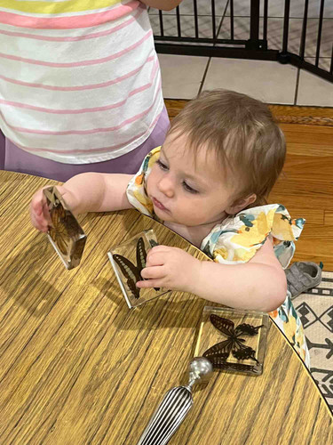 Photo of Little Minds Shine Home Daycare LLC Daycare - Branford, CT