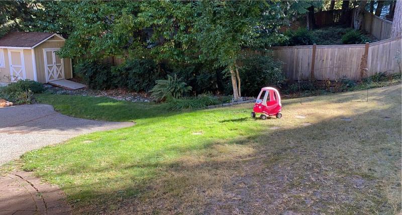 Photo of Stellar Growth - Sammamish, WA