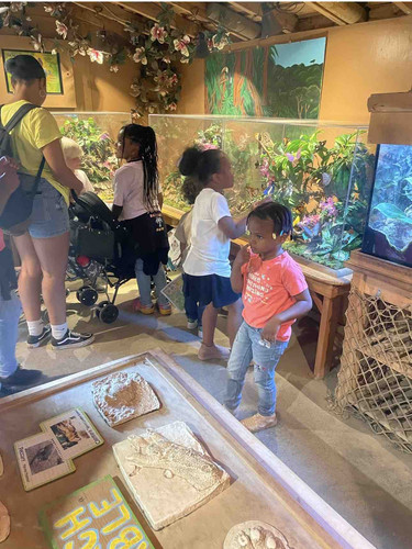 Photo of Majied Family Childcare - Bellflower, CA