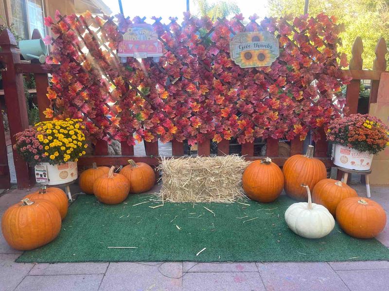 Photo of Judith Family Daycare - San Jose, CA