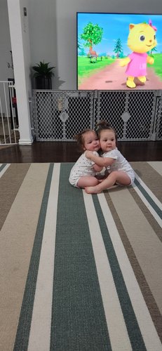 Photo of Saro' Nest Child Care LLC - Haltom City, TX