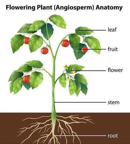 Photo of Little Stars Davoian Family Daycare - Glendale, CA