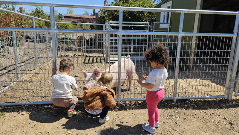 Photo of My Kids Klub - Livermore, CA