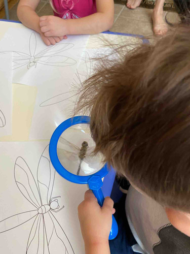 Photo of Vera Timofeyeva's Daycare - Rancho Cordova, CA