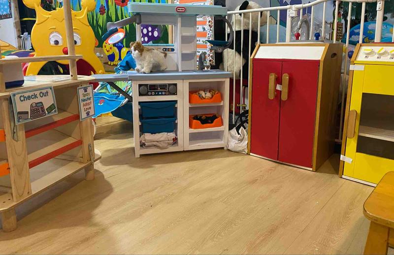 Photo of MLH Early Education Foundation Daycare - Joliet, IL