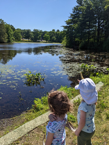 Photo of Nissrine Family Childcare - Walpole   Reopened, MA