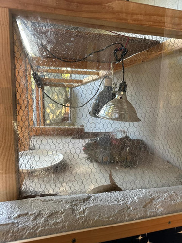 Photo of Rainforest Family Childcare - Santa Barbara, CA